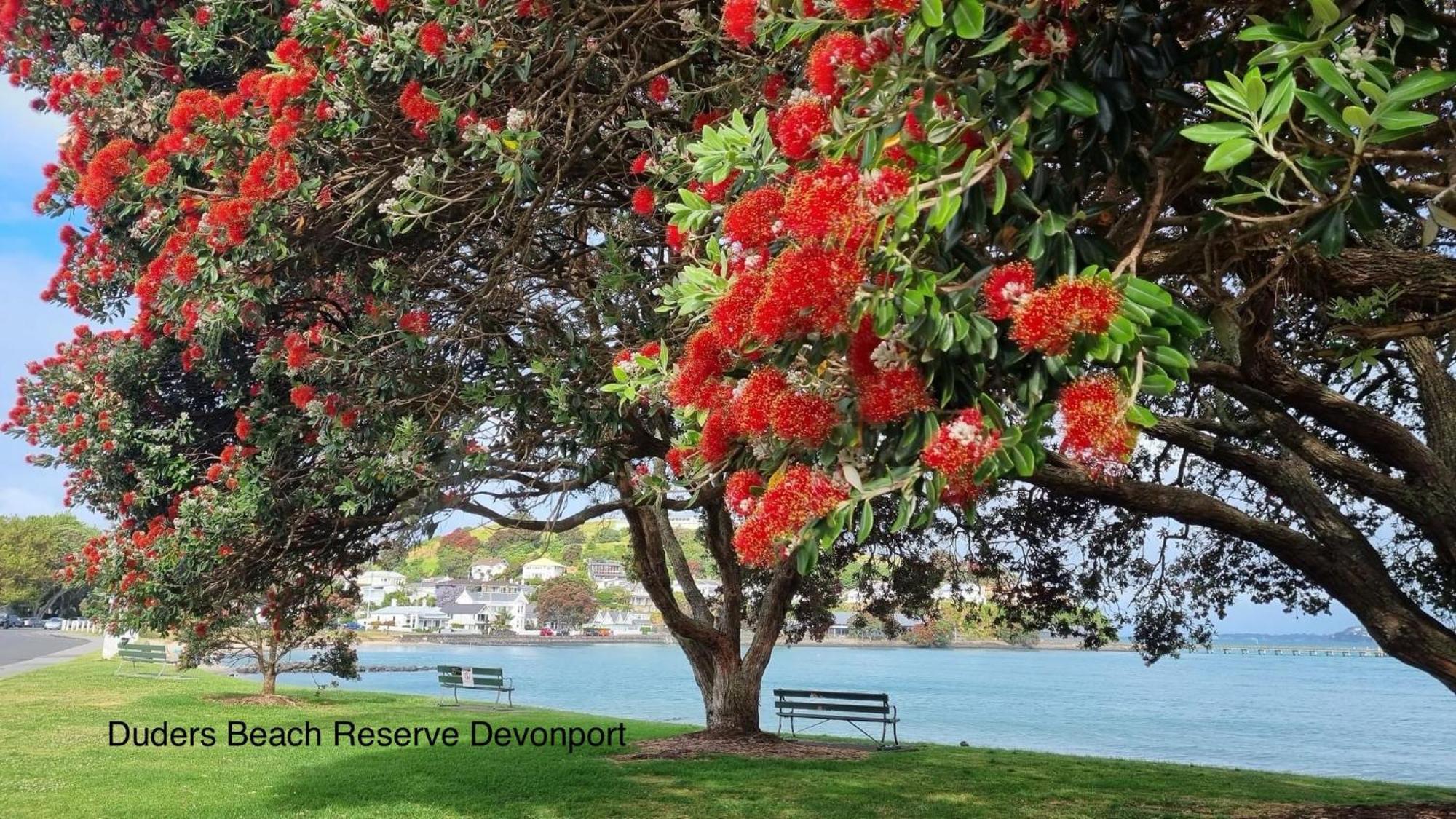 The Partchery Devonport Auckland Dış mekan fotoğraf